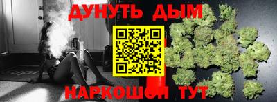 сатива Белореченск